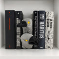 Decoração 3D Separador de livros